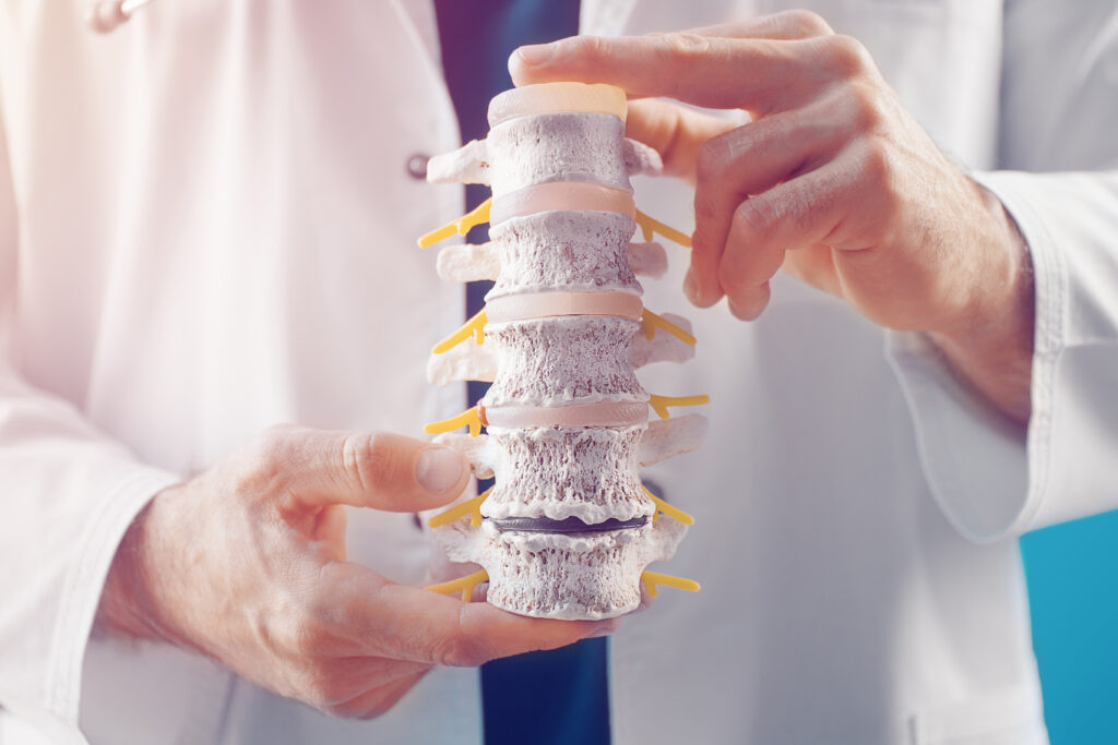 Doctor demonstrates departments spine vertebrae hernia its injuries Doctor demonstrates departments spine vertebrae hernia its injuries